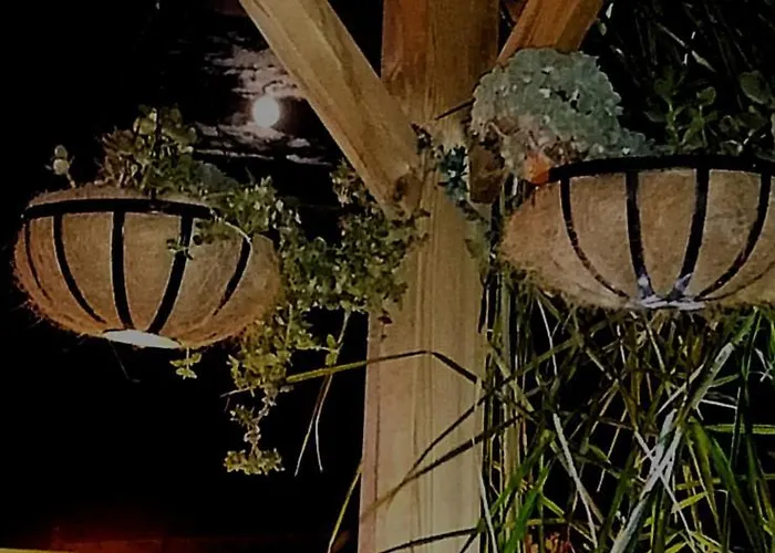 Bed and breakfast Elim &