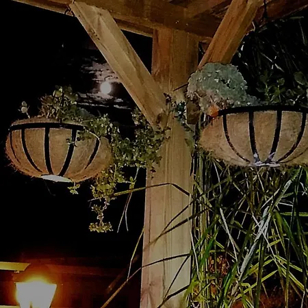 Bed & Breakfast Elim &