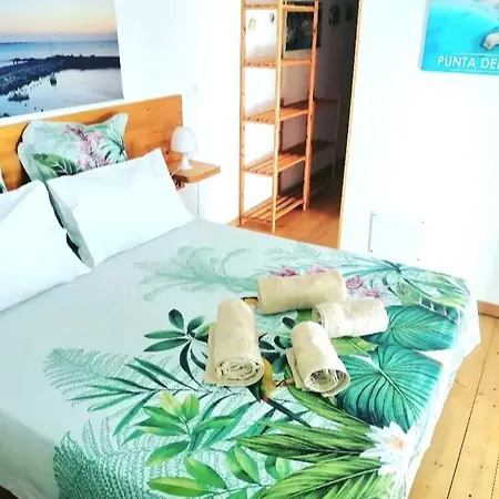 Elim & Bed & Breakfast *