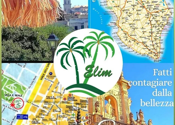 Elim & לצ'ה