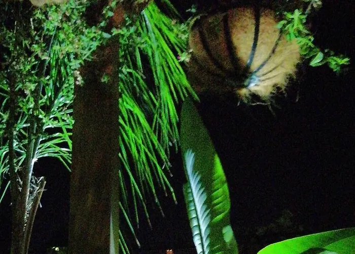 Elim & לינה וארוחת בוקר 4*