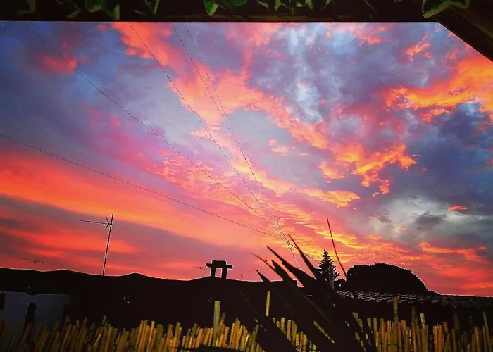 לינה וארוחת בוקר Elim &